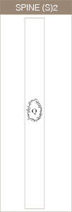 Spine Small 2