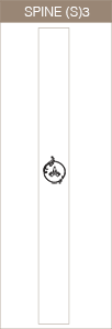 Spine Small 3