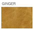 Ginger