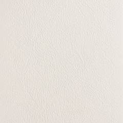 Leather_AntiqueWhite Leather_AntiqueWhite
