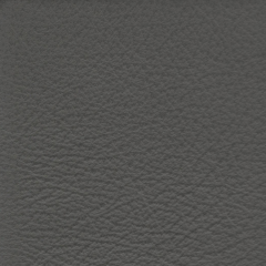 Leather_CharcoalGrey Leather_CharcoalGrey
