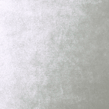 Velvet_Silverton Velvet_Silverton